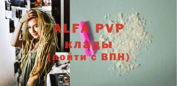 стаф Дмитров