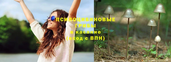 apvp Дмитровск