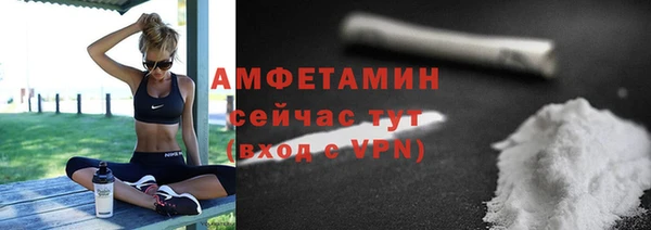 стаф Дмитров