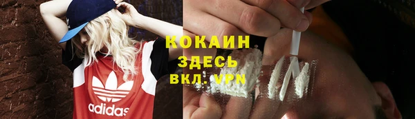 стаф Дмитров