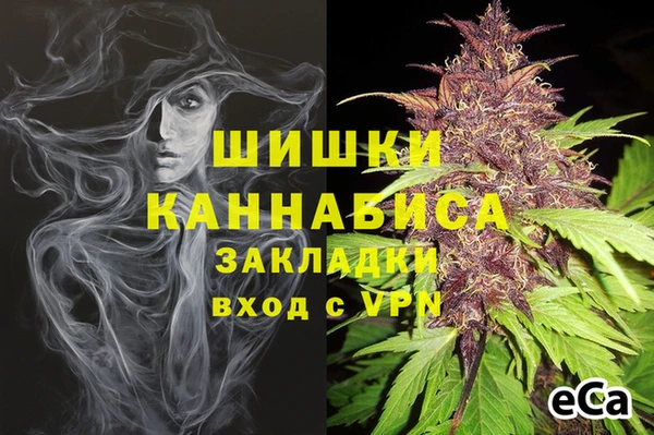 стаф Дмитров